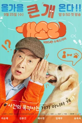 Ver dog knows everything capitulo 2 sub español online - Doramasqueen - Pandrama